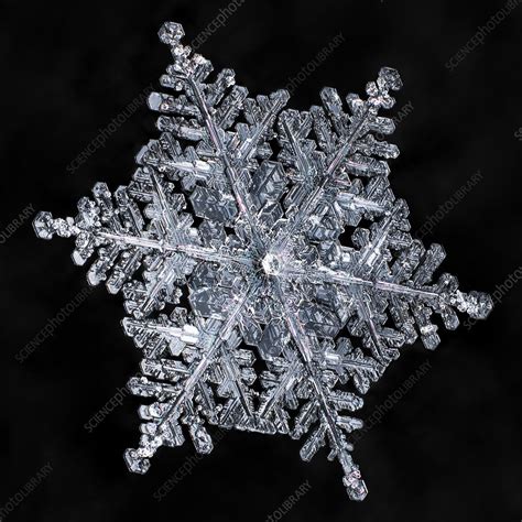 Snowflake Stock Image C0285904 Science Photo Library