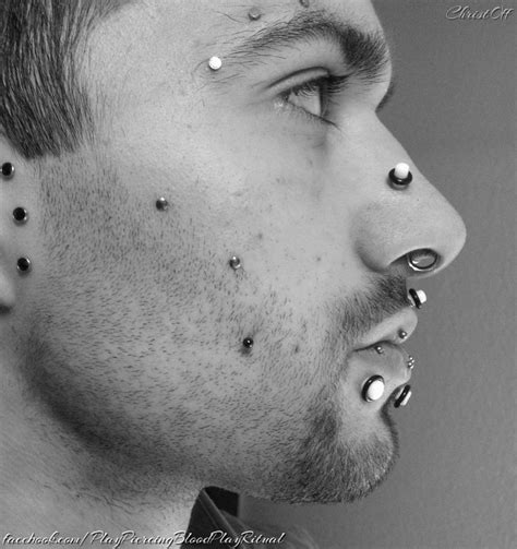 Image Result For Stretched Septum Body Piercings Facial Piercings