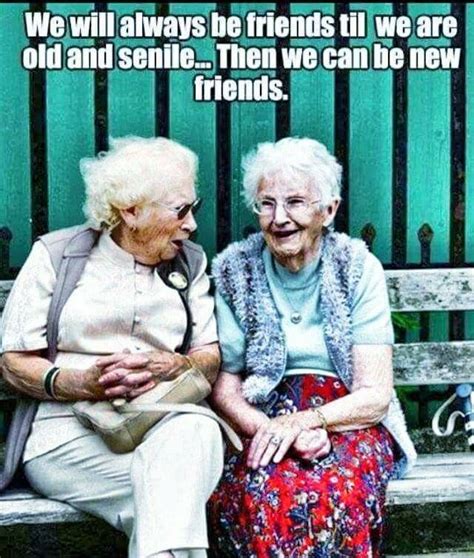 funny old ladies best friend quotes images and photos finder