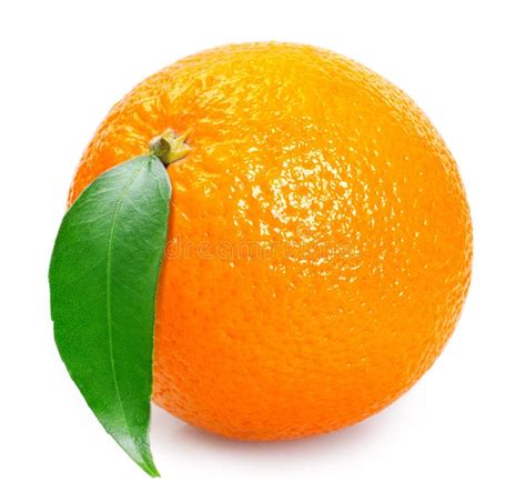 Fresh Orange Fruit On White Background Stock Photo Image Of