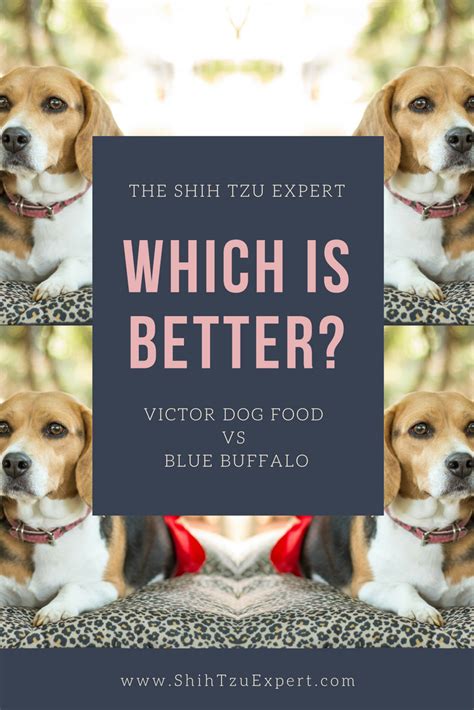 We found out my older cat had a corn allergy. Victor Dog Food vs Blue Buffalo Your Complete Guide in ...