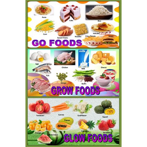 Food Groups Go Grow Glow Foods Laminated Wall Chart Shopee Philippines