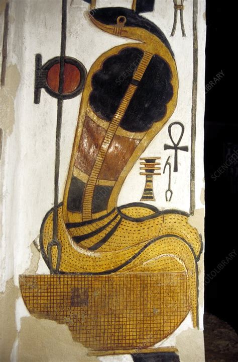 Egyptian Goddess Wadjet Stock Image E905 0408 Science Photo Library