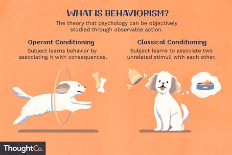 Behaviorismo A Teoria Psicológica Do Estímulo Resposta