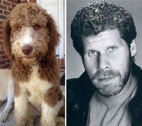21 Animals And Their Celebrity Doppelgangers Inner Strength Zone