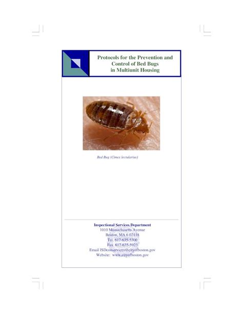 Pdf Protocols For The Prevention And Control Of Bed Bugs In Bed Bugs Are Small Wingless