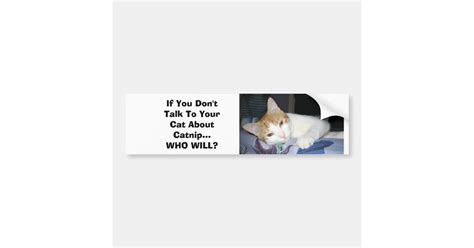 If You Dont Talk To Your Cat About Catnip Bumper Sticker Zazzle