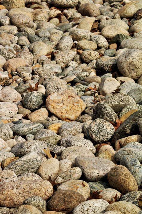 River Rocks Background Free Stock Photo Public Domain Pictures