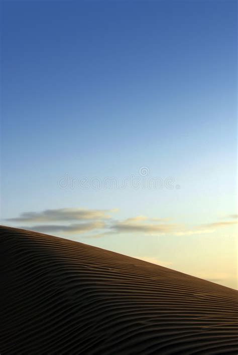 Desert Dune Stock Photo Image Of Yellow Nature Sand 1820312
