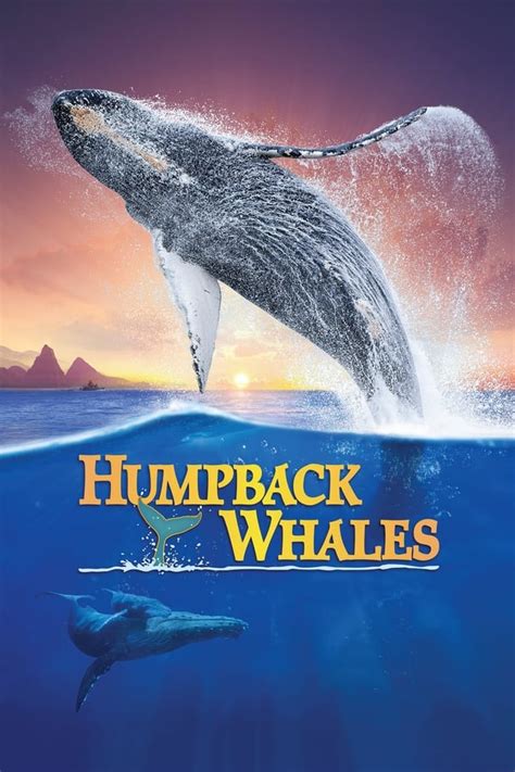 humpback whales 2015 — the movie database tmdb