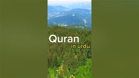 Surah Al Imran Ayat 28 30🥀🕊️urdu Translationquran In Urdu Quran