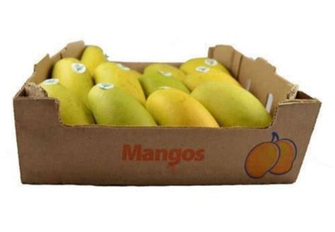 Paper Mango Packaging Export Boxes At Best Price In Bengaluru Surana