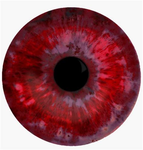 Iris Transparent Eye Png Goimages Online