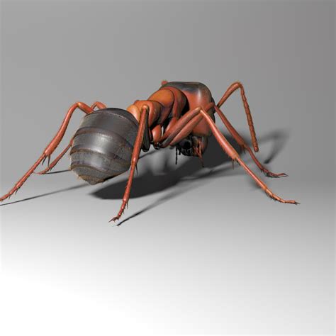 ant rigged 3d model