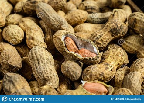 Raw Unshelled Peanuts In The Shell Organic Groundnut Black Background