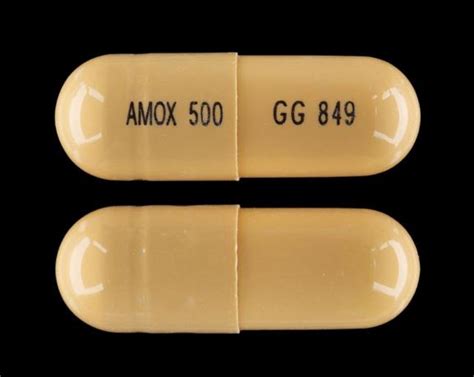 Amox 500 Gg 849 Pill Yellow Capsule Shape Pill Identifier