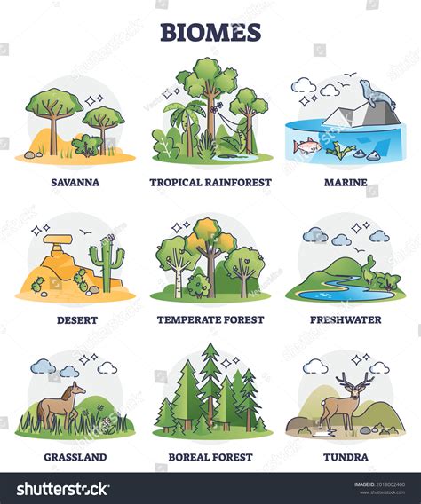 19 724 Biome Images Stock Photos Vectors Shutterstock