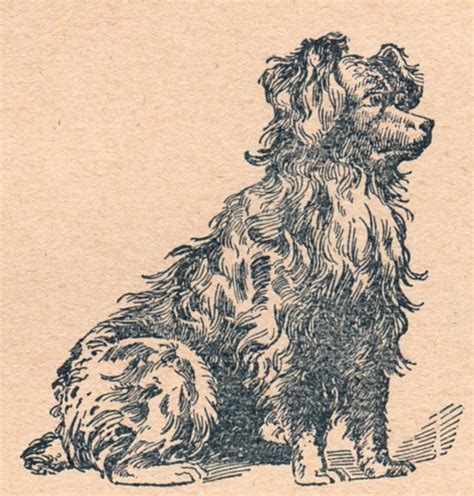 Vintage Dog Clip Art Cute The Graphics Fairy