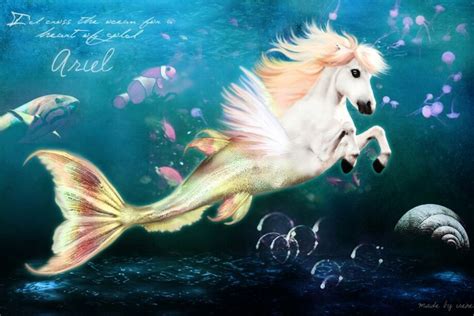 Merhorse Unicorn Fish Mermaid Images Real Mermaids