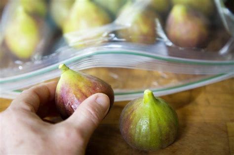 How To Preserve Fresh Figs Fig Recipes Fresh Fig