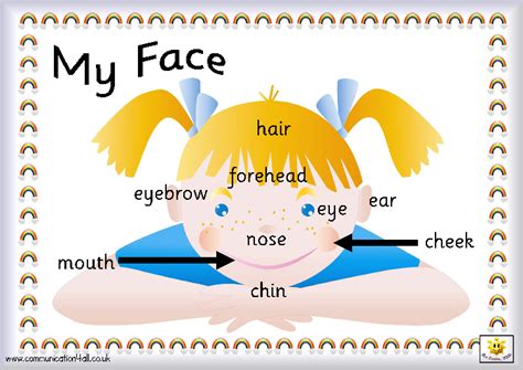 Press check to check your answers. ENGLISH: MY FACE, PARTS