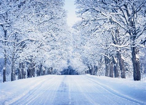 冬季雪景图片冬季雪覆盖的田野和树木的景色素材高清图片摄影照片寻图免费打包下载