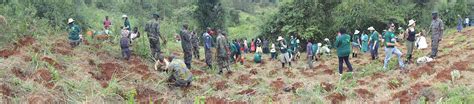 photo blog gbm green belt safari with shaklee kenya defence force and mainichi news the