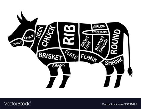 Beef Cuts Of Meat Butcher Chart Cattle Diagram Poster 16in X 24in 16x24