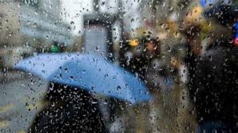 Météo : pluies orageuses sur plusieurs wilayas - Algerie360