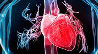 Infarto del miocardio - Cronic.es | Portal de la Asociación Española de ...
