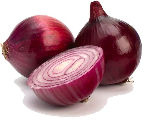 Collection Of Onion Hd Png Pluspng