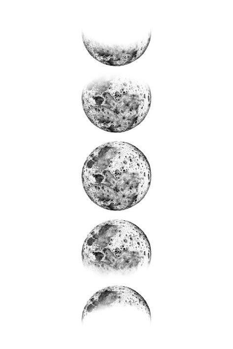 Pencil Drawing Moon Phases White Background Art Print By Szafranscy