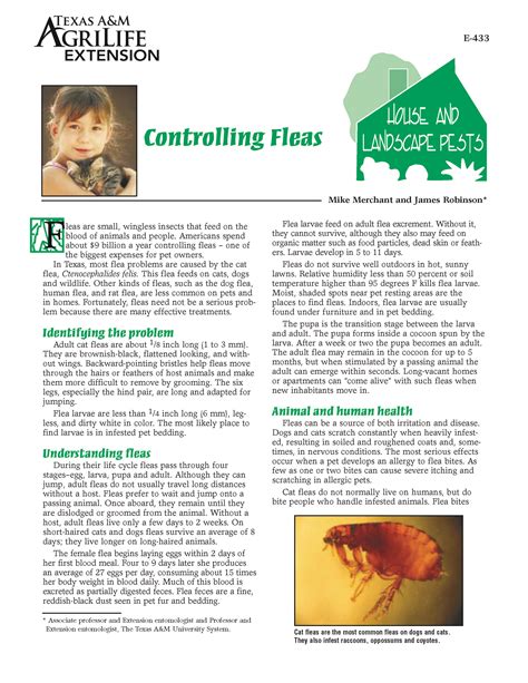 Controlling Fleas Publications Agrilife Learn