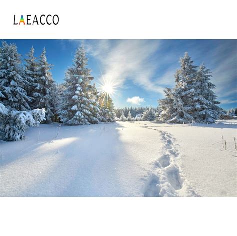 Laeacco Winter Forest Tree Snow Pine Sunshine Footprint Way Scenic