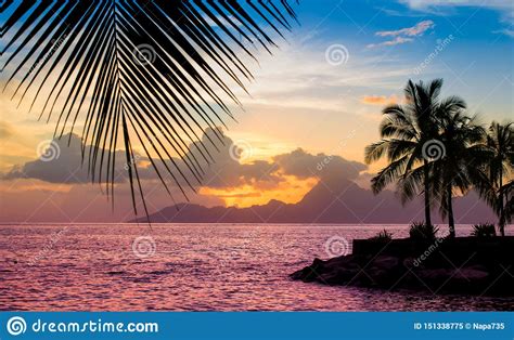 Sunset On The Beach With Silhouette Of Palms Colorful