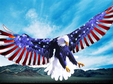 Pin By Yvonne Harris On 4th Of July Bald Eagle Eagle American Flag