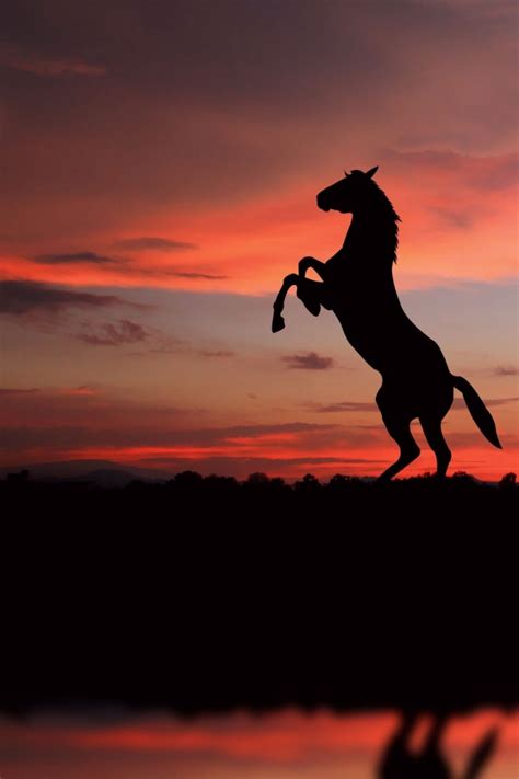 If you have your own one, just create an account on the website and upload a picture. 52+ Horses at Sunset Wallpapers on WallpaperSafari