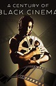 ‎A Century of Black Cinema (2003) directed by Ted Newsom • Reviews ...