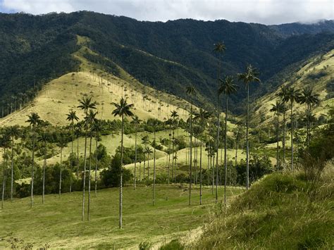 El Clima En Colombia Mejor época Del Año Para Viajar