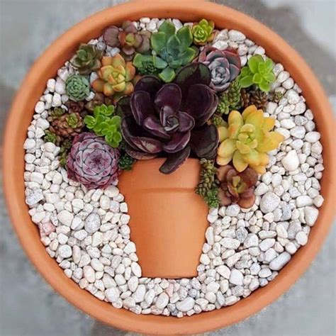 19 Top Terbaru Succulent Flower Pot