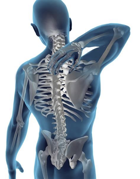 Full Skeleton Back Pain Chandler Physical Therapy