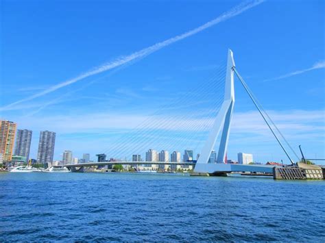 This review is the subjective opinion of a tripadvisor member and not of tripadvisor llc. Erasmus bridge / Erasmusbrug - Architecture | ROTTERDAM PAGES