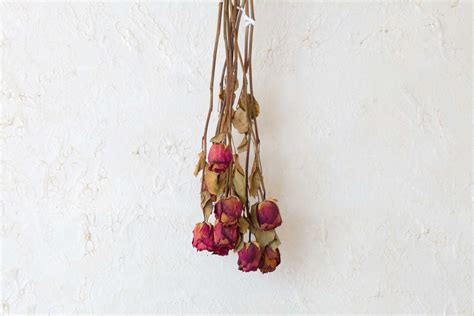 To ensure the flowers retain the most color, cut them before they are fully open. How to Dry Flowers and Preserve Their Color
