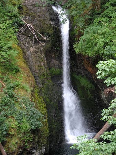 Butte Creek Falls Hiking In Portland Oregon And Washington