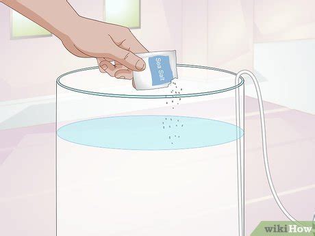 Check spelling or type a new query. How to Start a Jellyfish Tank (with Pictures) - wikiHow