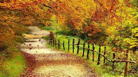 Beautiful Autumn Scenery Wallpapers Full Hd Wallpaper