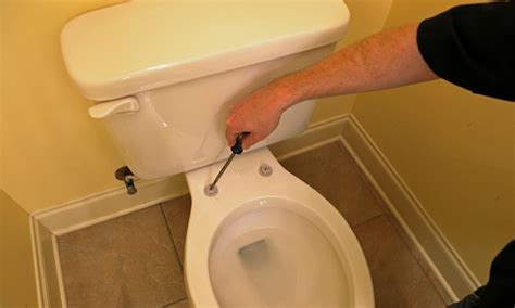 Replacing Toilet Seat Toilet Surgery