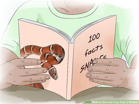 How To Get Over Your Fear Of Snakes 12 Steps With Pictures