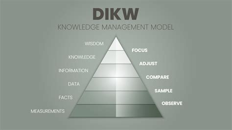 A Vector Illustration Of The DIKW Hierarchy Has Wisdom Knowledge Information And The Data
