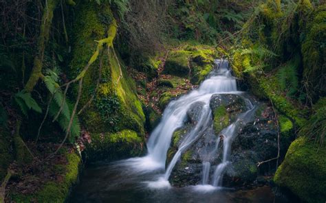 Wallpaper Moss Stream Waterfall 1920x1200 Hd Picture Image